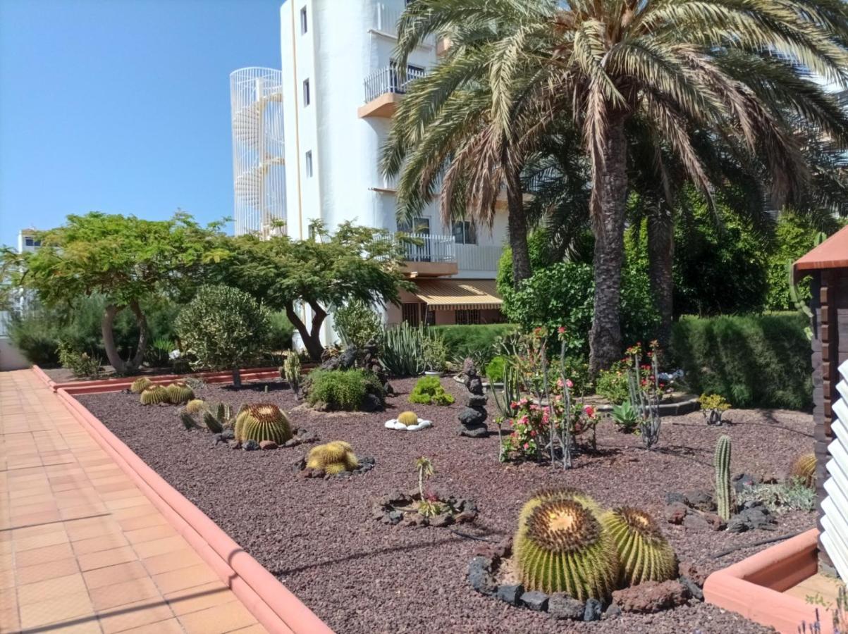 Apartment Lightbooking Tenesor 115 Playa Del Ingles *